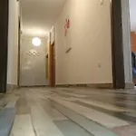 Ljubica Comfortable *